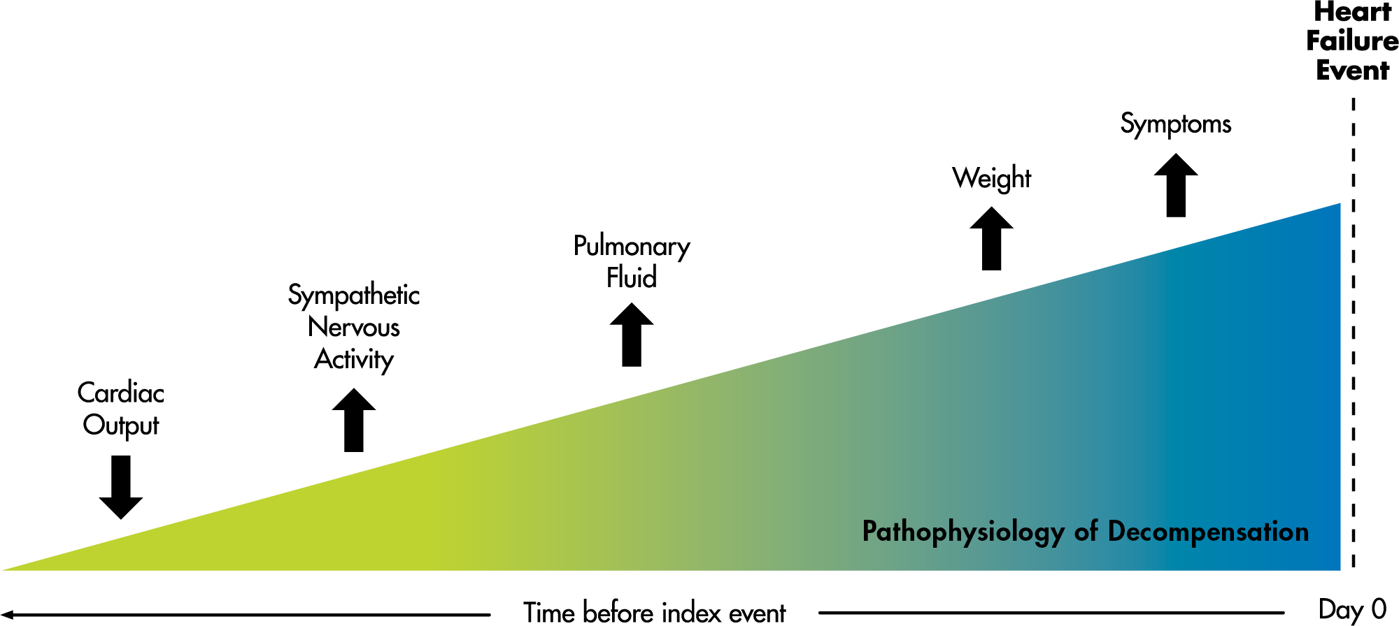 Pathophysiology of decompensation chart